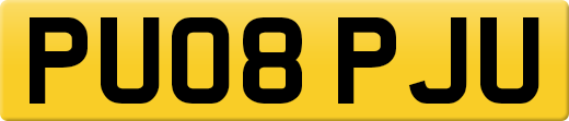 PU08PJU